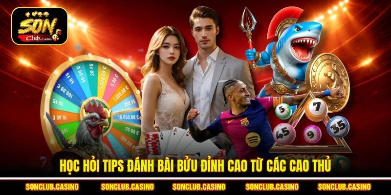 Học hỏi tips đánh bài Bửu đỉnh cao từ các cao thủ
